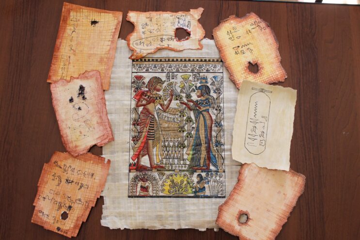 В Твери пройдет необычный мастер-класс "Книги из болота"