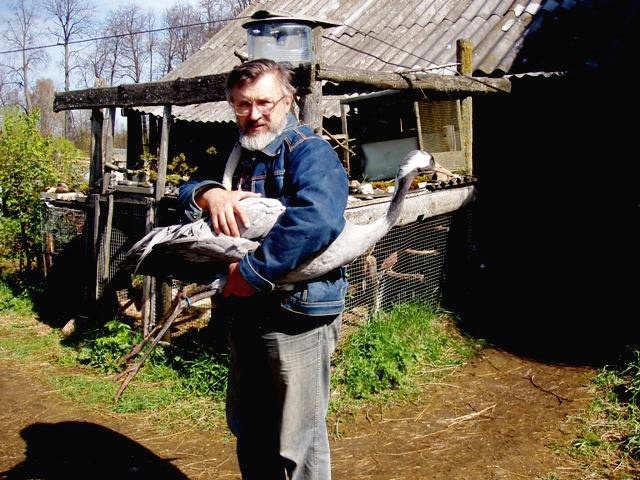 Сотрудники тверского реабилитационного центра диких животных рассказали историю одного журавля
