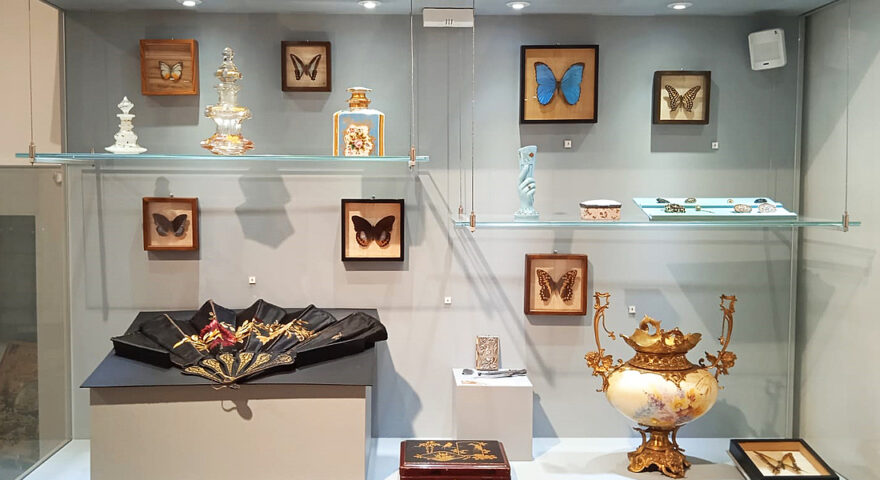 Музей тверского быта ждет на экскурсию о цветах и бабочках Музей тверского быта ждет на экскурсию о цветах и бабочках