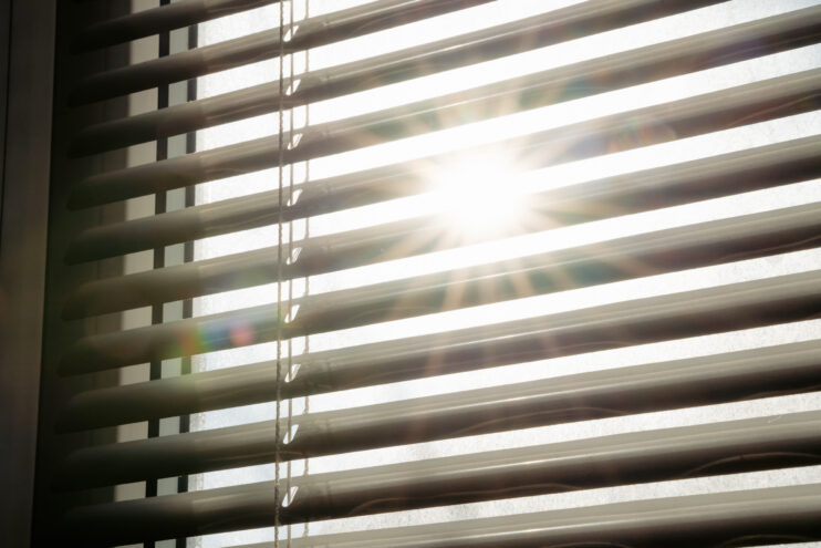 В пятницу жителей Тверской области ждет солнце и холодный ветер