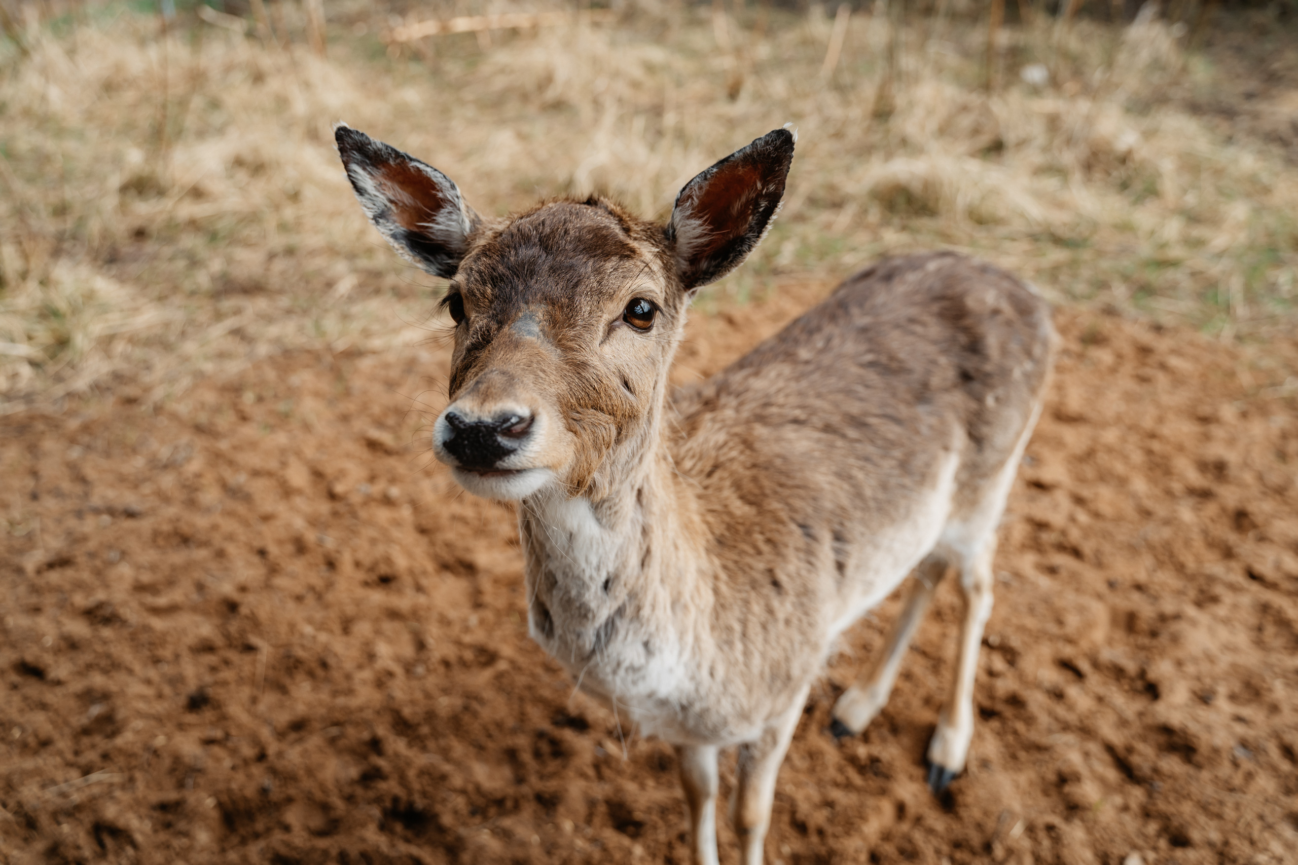 Точка притяжения: в Тверской области появился новый арт-объект