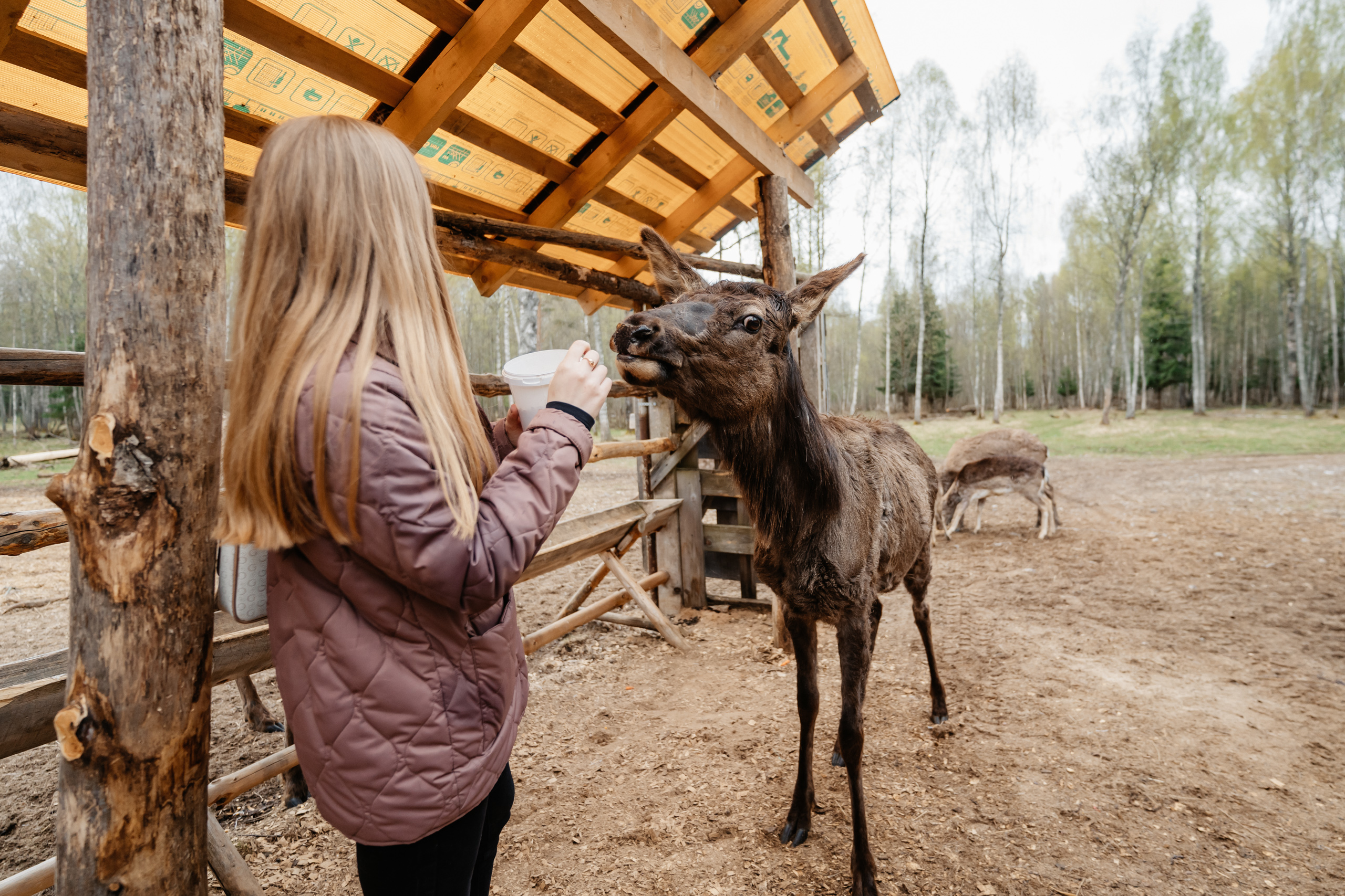 Точка притяжения: в Тверской области появился новый арт-объект