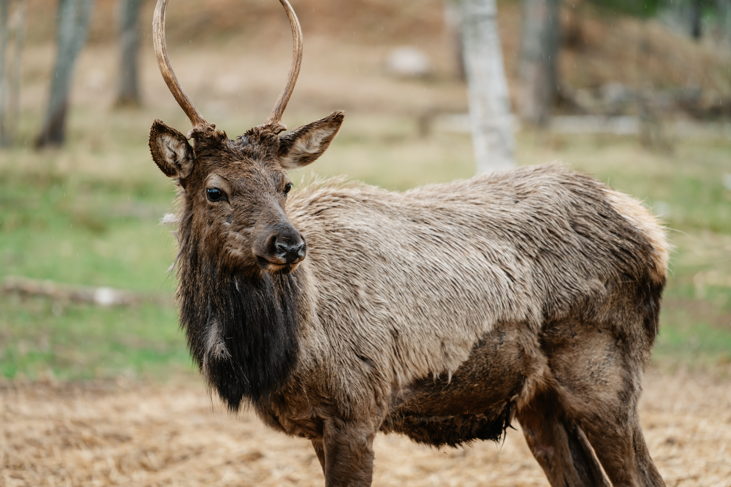 Точка притяжения: в Тверской области появился новый арт-объект