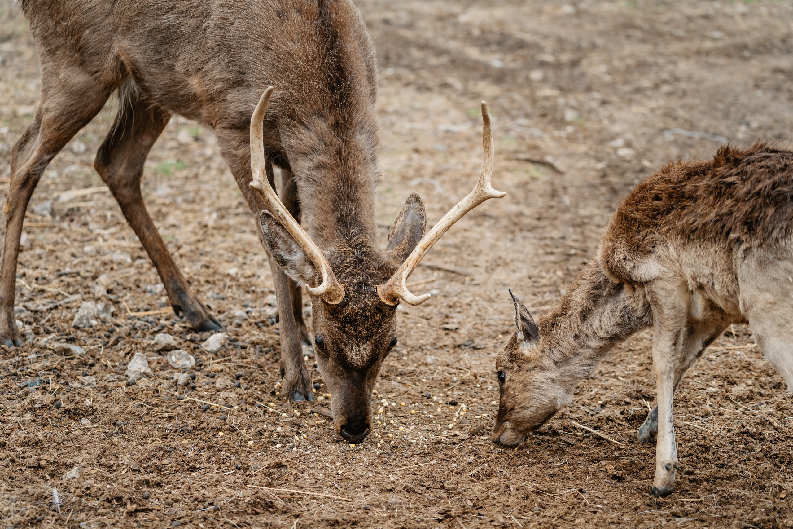 Точка притяжения: в Тверской области появился новый арт-объект
