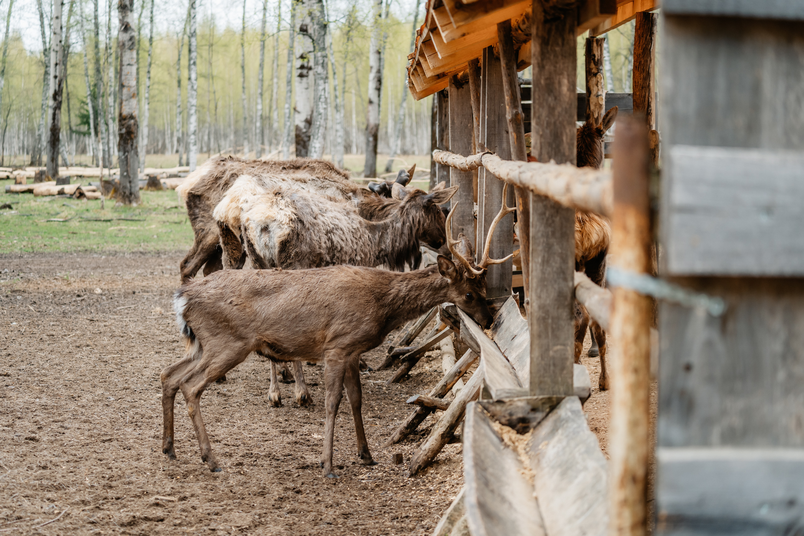 Точка притяжения: в Тверской области появился новый арт-объект
