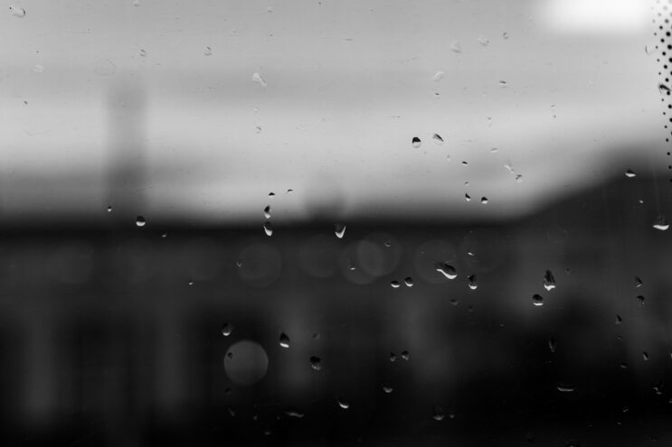 В Тверской области ожидается дождь