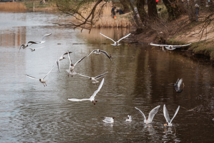 Жителям Тверской области пообещали до 22 градусов тепла в понедельник Жителям Тверской области пообещали до 22 градусов тепла в понедельник