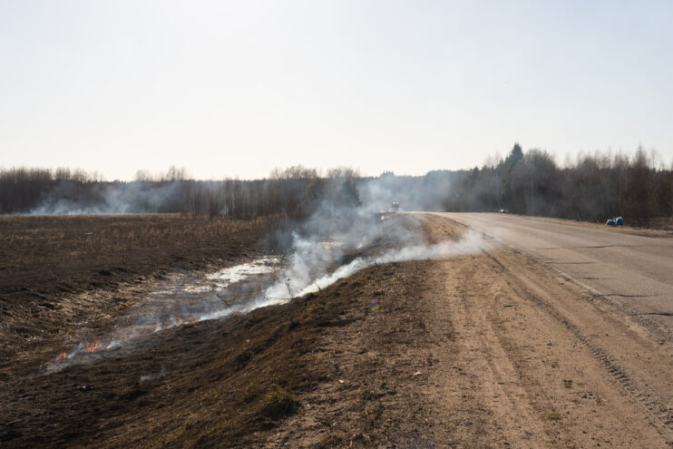 Несоблюдение требований земельного законодательства негативно влияет на пожароопасную ситуацию в регионах В Тверской области загорелась лесная подстилка