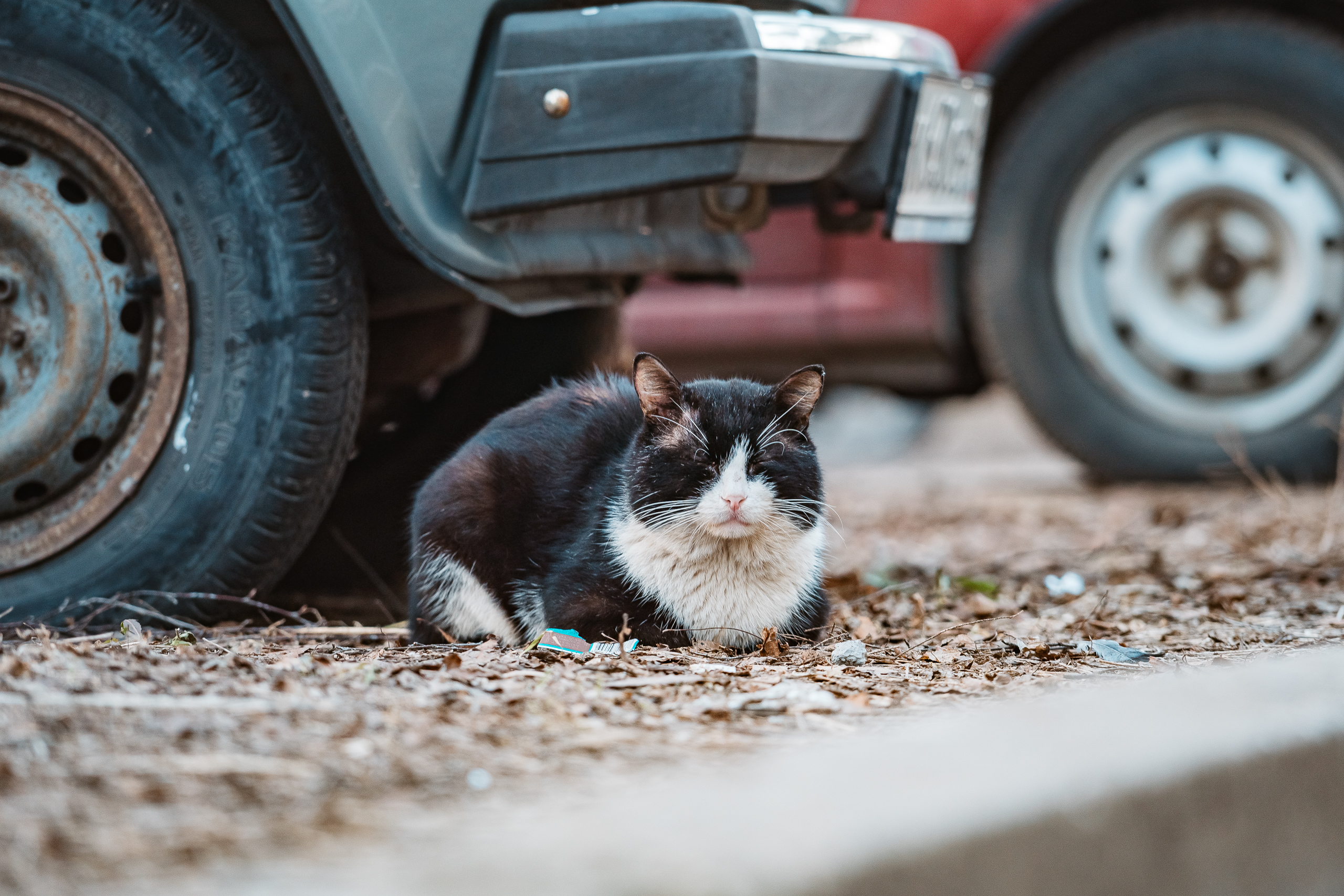 В Тверской области будет тепло и облачно