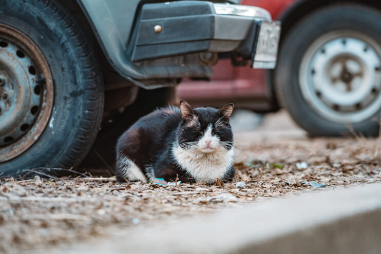 В четверг жителей Тверской области ждет еще один теплый солнечный день