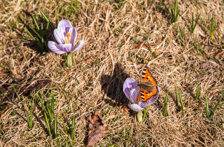 В Тверской области становится все теплее В Тверской области становится все теплее