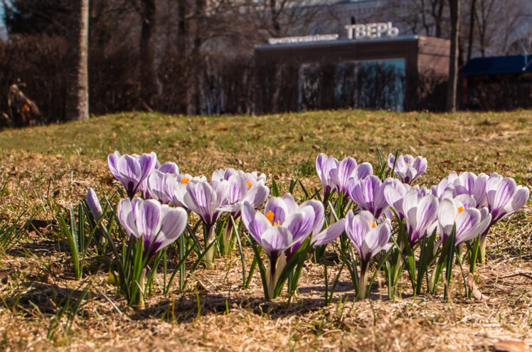 В Тверской области потеплеет до +18 градусов В Тверской области потеплеет до +19