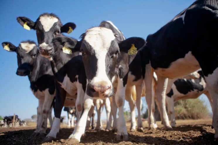 В Тверской области увеличен размер грантов «Агростартап» В Тверской области увеличен размер грантов «Агростартап»