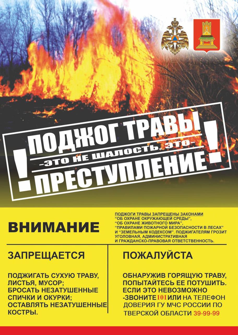 В тверском регионе ведётся работа по профилактике палов сухой травы и лесных пожаров