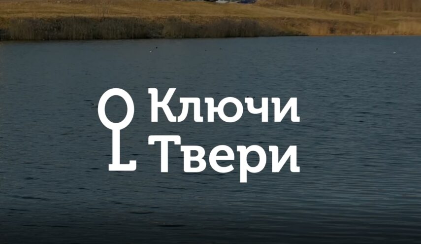 Ключи Твери: виды чаек и их места обитания в Твери Ключи Твери: виды чаек и их места обитания в Твери