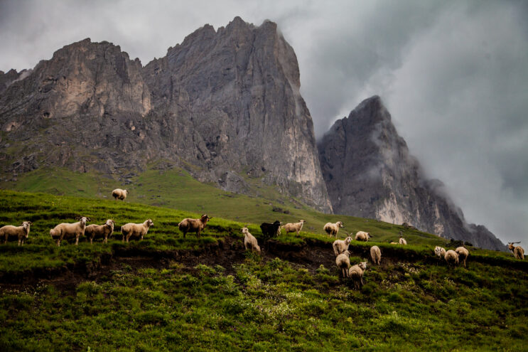 В Музейно-выставочном центре им. Л. Чайкиной откроется выставка калужских фотографов