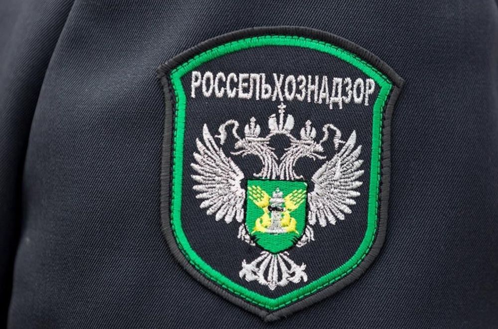 Принципы работы с ФГИС «Сатурн» и ФГИС «Зерно» разъясняют специалисты Россельхознадзора В Бежецком округе выявлены больше 55 гектаров неиспользуемых сельскохозяйственных угодий