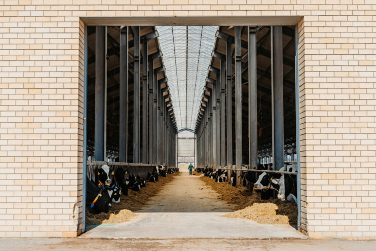 В Тверской области увеличился выпуск кормов для сельскохозяйственных животных Игорь Руденя прокомментировал привлечение в сельхозотрасль молодых специалистов