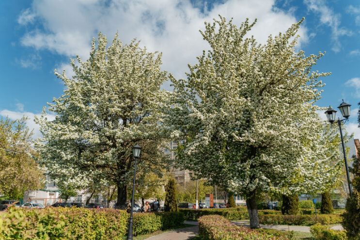 В Тверской области станет теплее