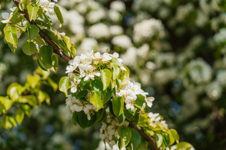 В Тверской области потеплеет до +22 градусов В Тверской области потеплеет до +22 градусов