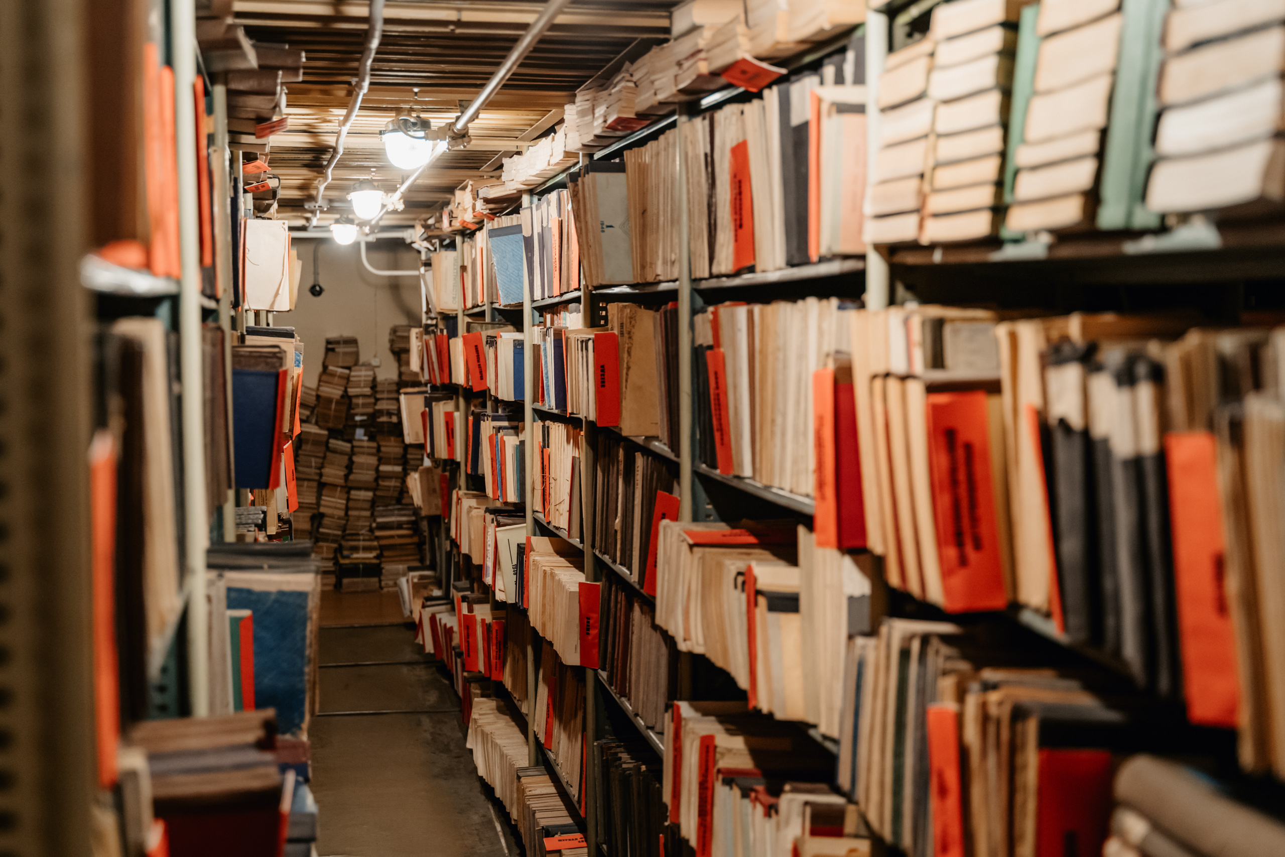 "Библионочь" в Горьковке: Читателей пригласили на мастер-классы и в книгохранилище