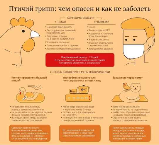 В Твери проводится профилактическая работа по предупреждению распространения птичьего гриппа В Твери проводится профилактическая работа по предупреждению распространения птичьего гриппа