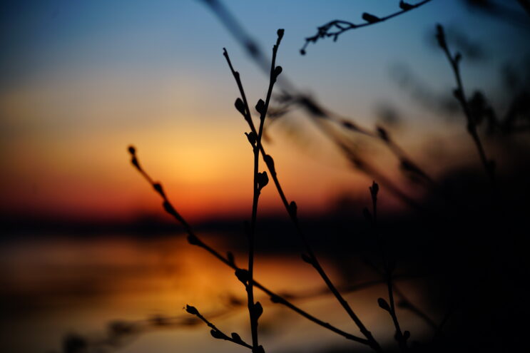 В воскресенье в Тверской области будет ясная погода и заморозки Ночные заморозки сохранятся в Тверской области