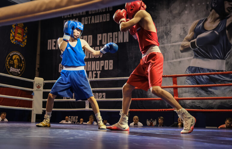 В Осташкове проходит Первенство России по боксу В Осташкове проходит Первенство России по боксу