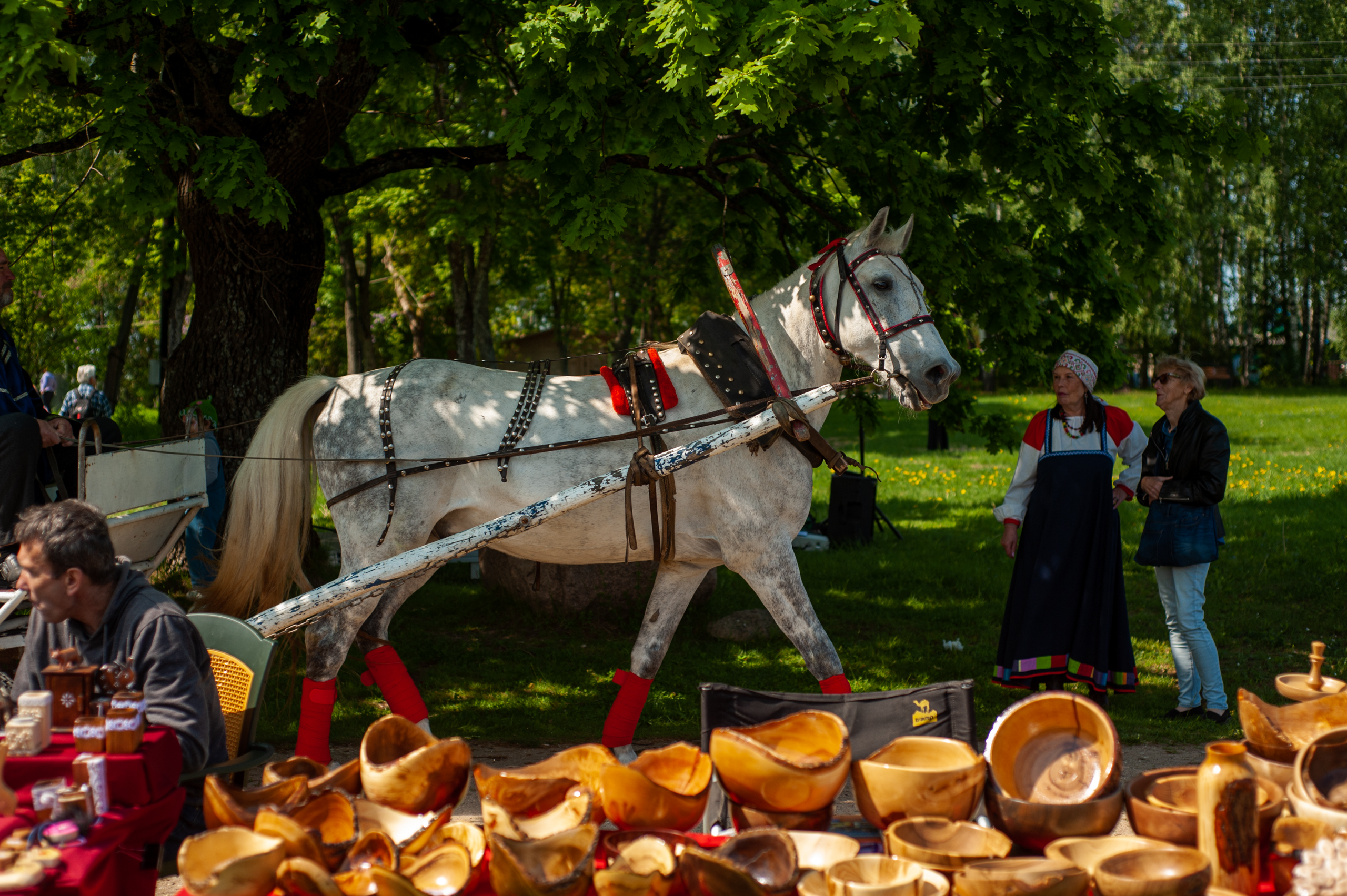 Еще больше сирени: Чем удивил гостей традиционный праздник в усадьбе Домотканово