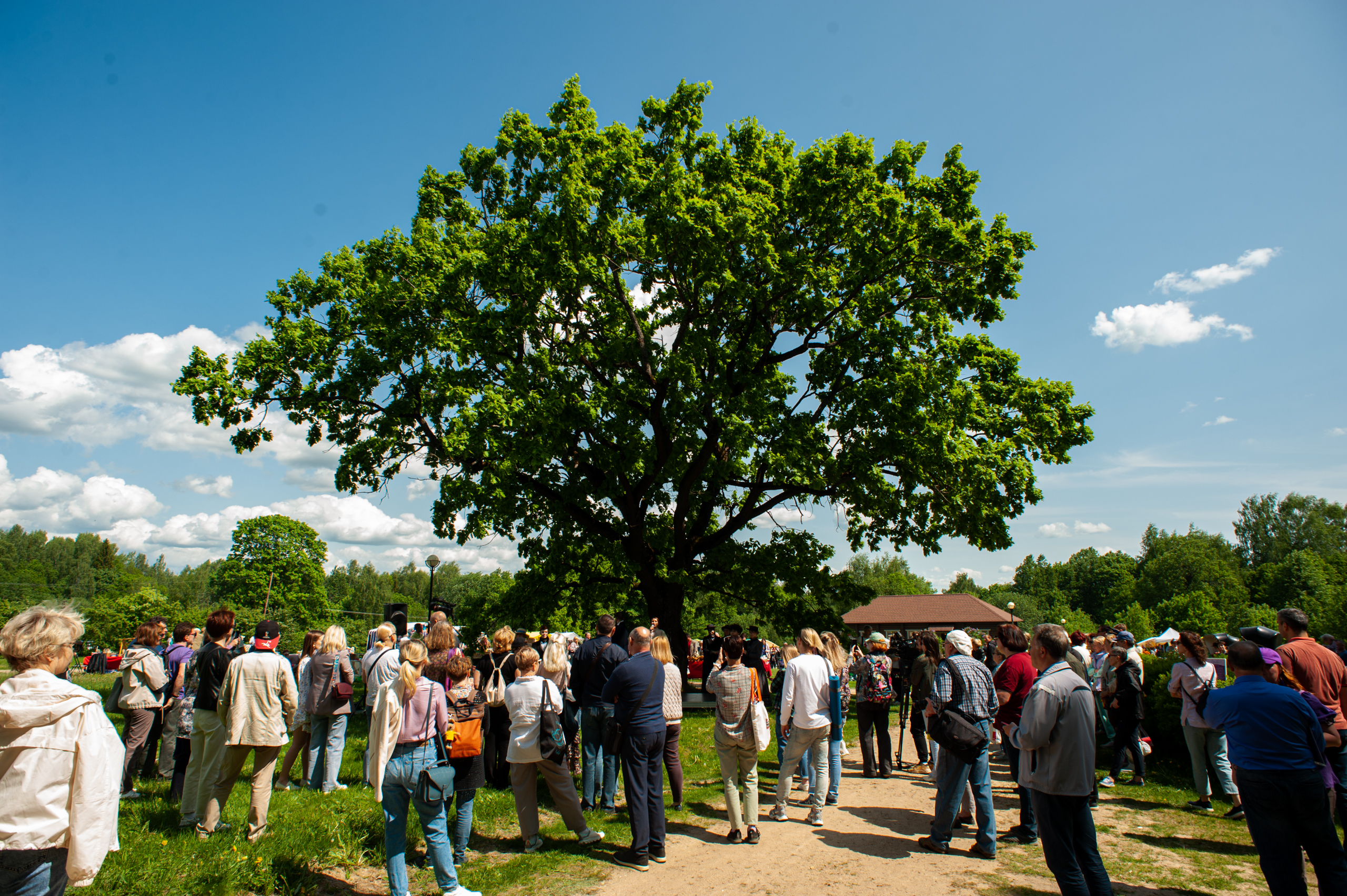 Еще больше сирени: Чем удивил гостей традиционный праздник в усадьбе Домотканово