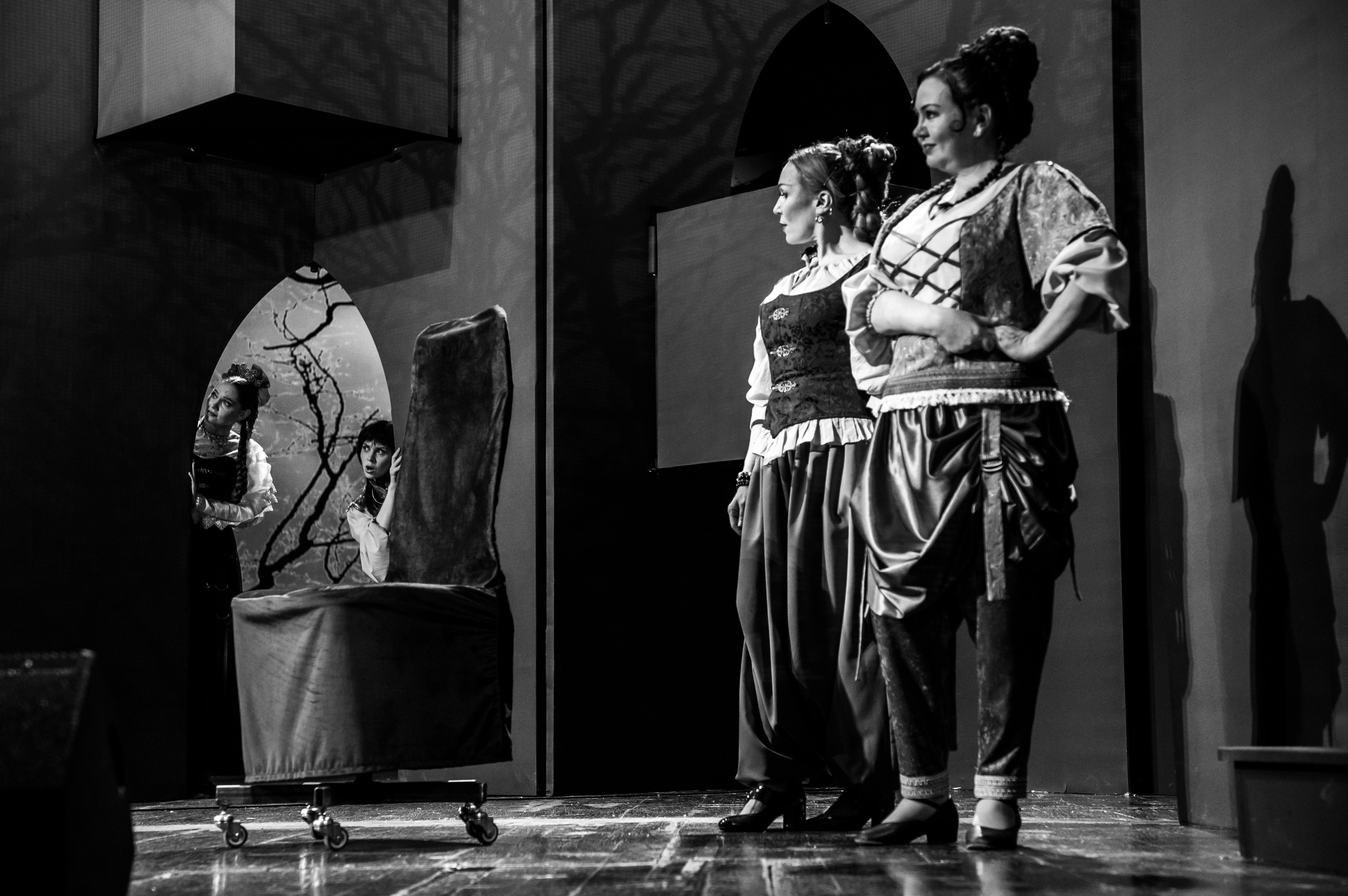 Дела сердечные или как Октавьо дочерей замуж выдавал: Тверской театр драмы представил "Дурочку"