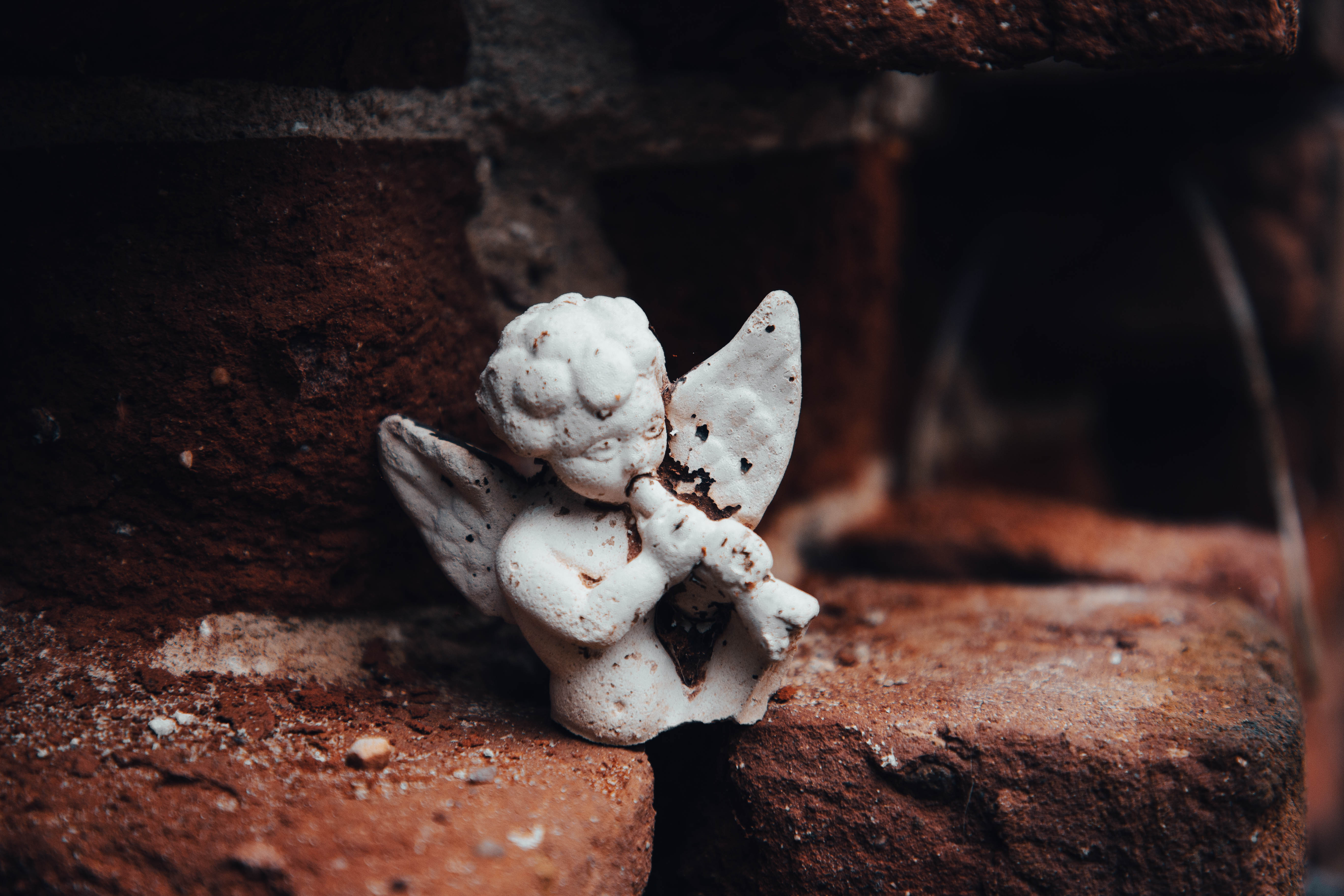 Блогер показала заброшенную церковь Воскресения Словущего в Тверской области