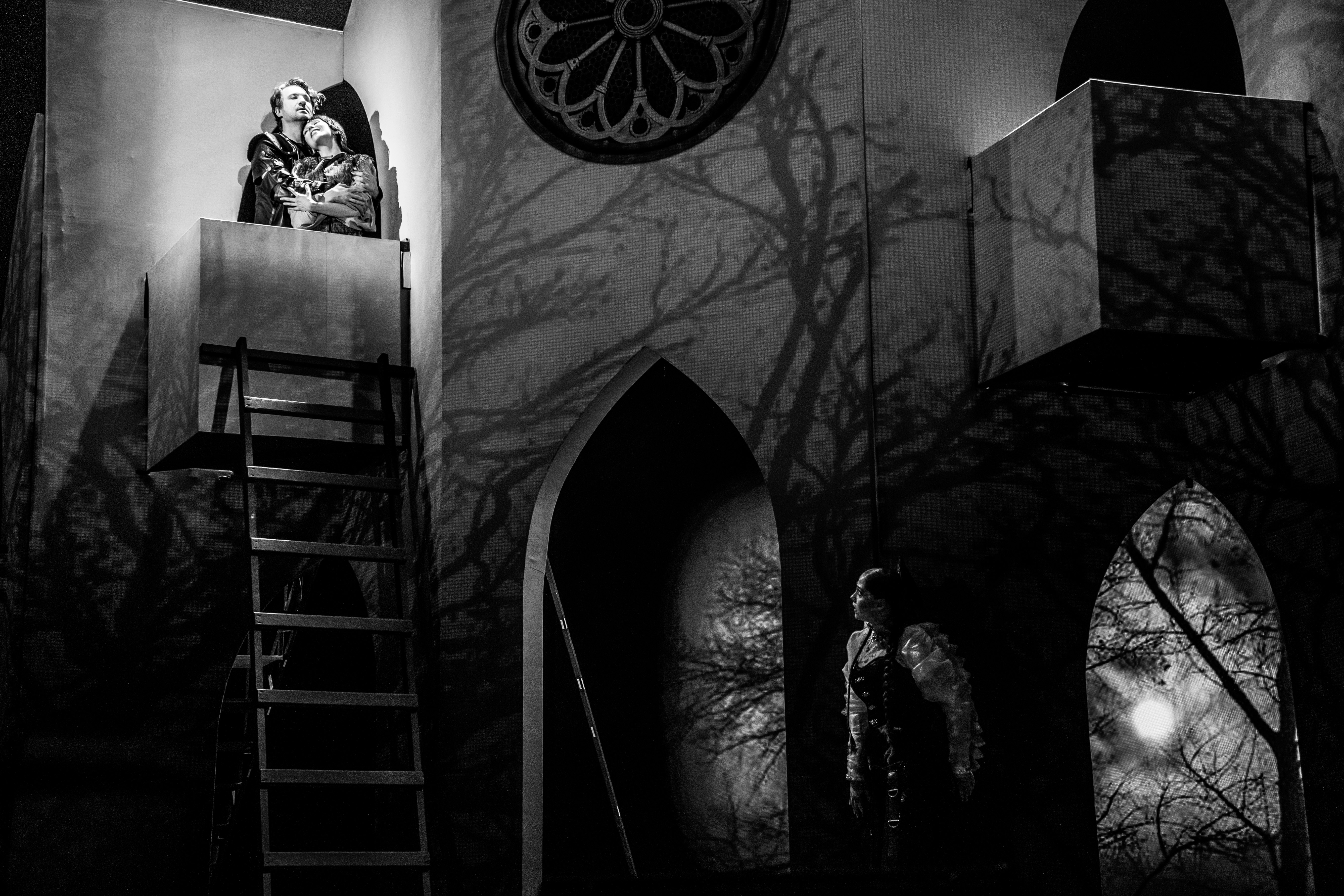 Дела сердечные или как Октавьо дочерей замуж выдавал: Тверской театр драмы представил "Дурочку"