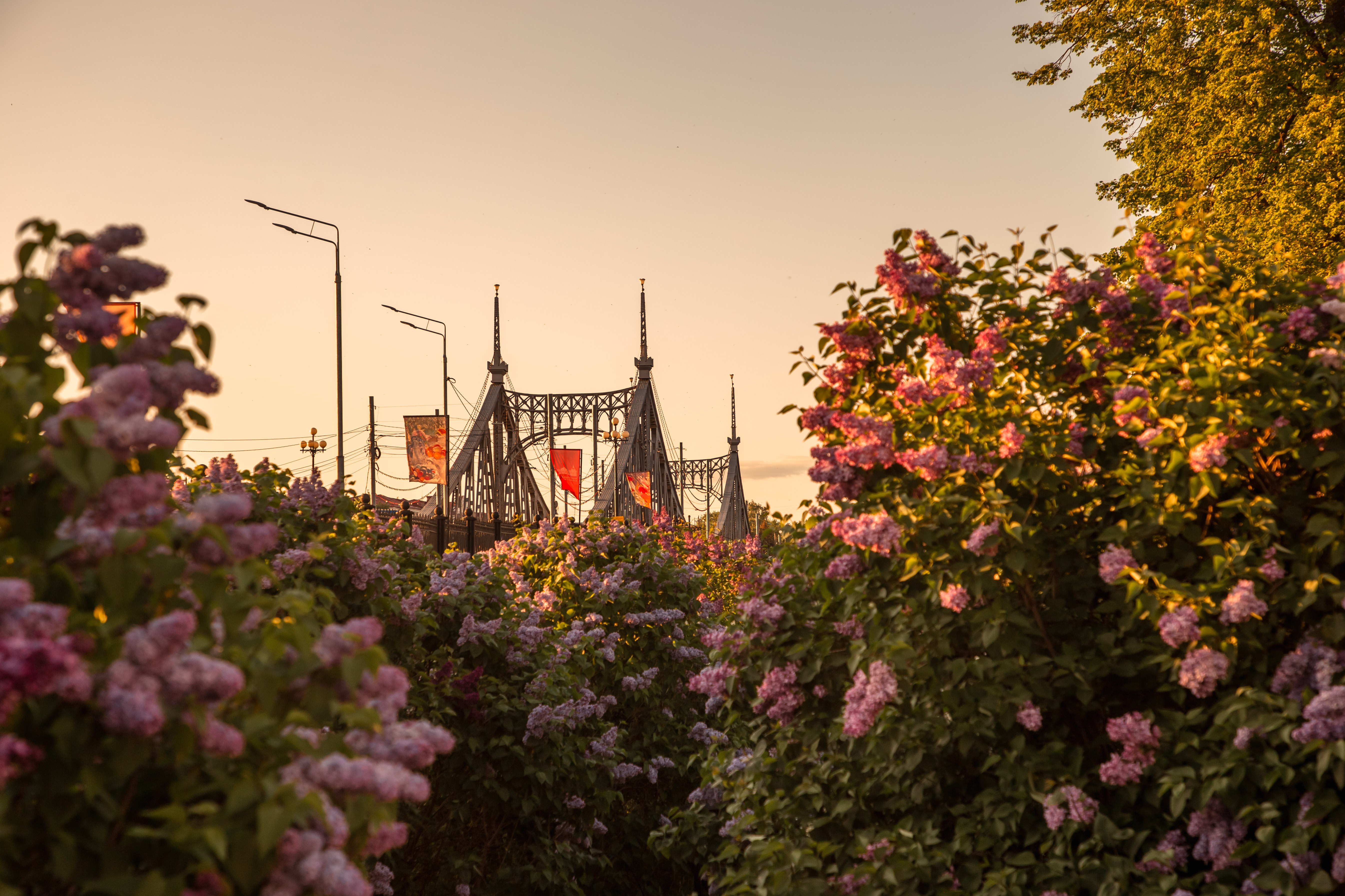 Ночь в музее: Тверской императорский дворец присоединился к Всероссийской акции