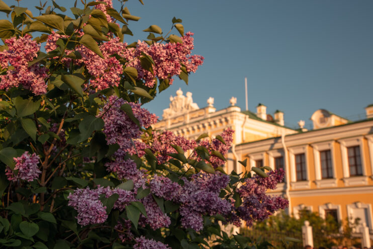 Как легко вставать рано утром