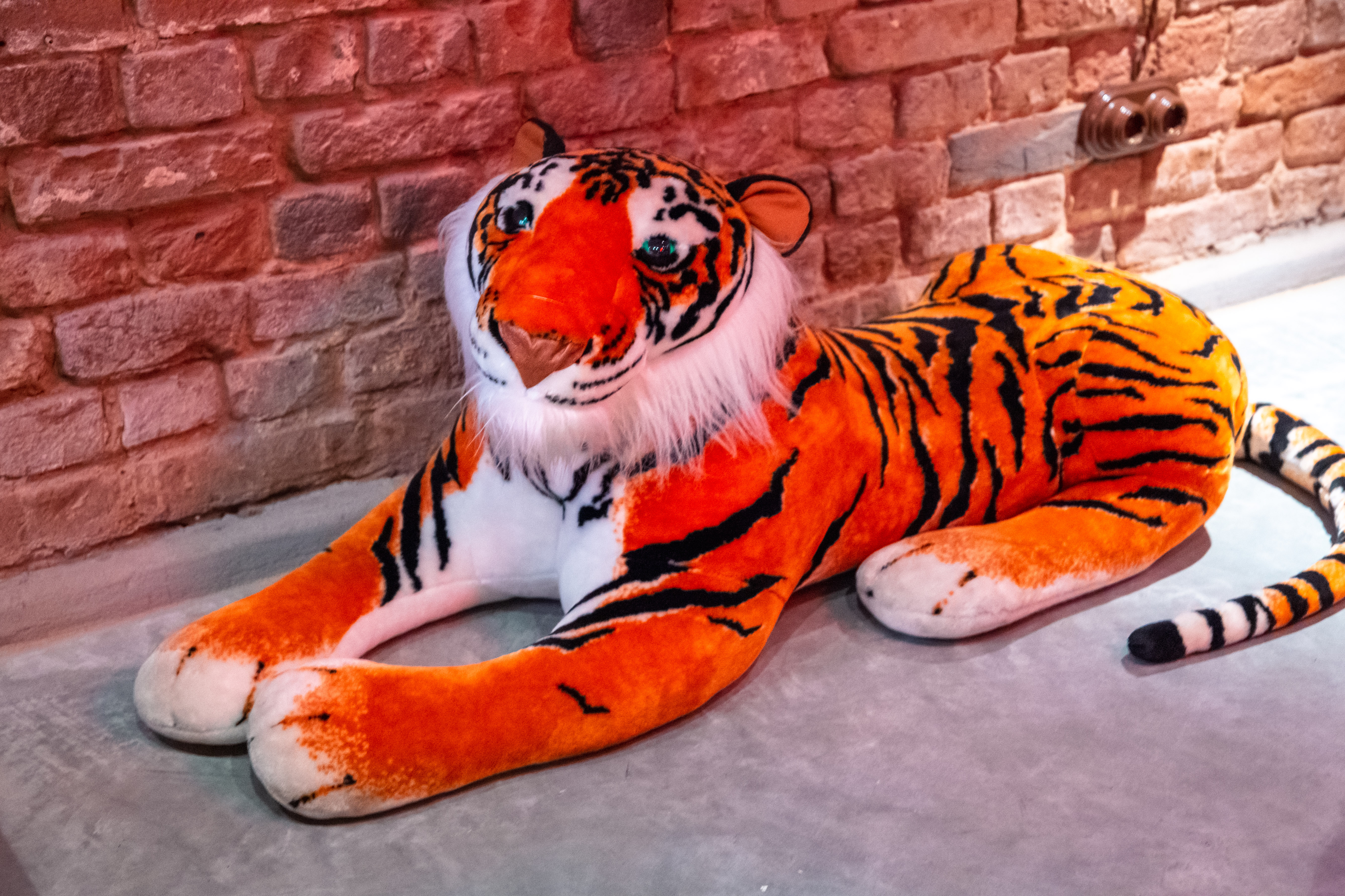 Поели за вас: настоящий азиатский островок в самом центре Твери