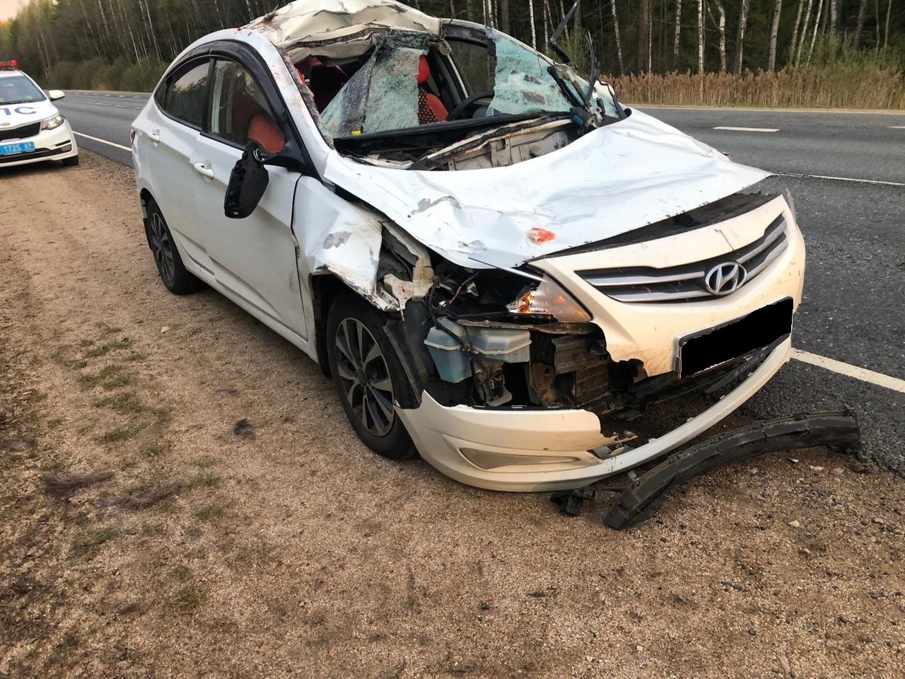 На М-9 в Тверской области автомобиль сбил лося На М-9 в Тверской области автомобиль сбил лося