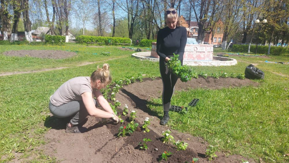 В городе Бологое приступили к озеленению парков и скверов В городе Бологое приступили к озеленению парков и скверов