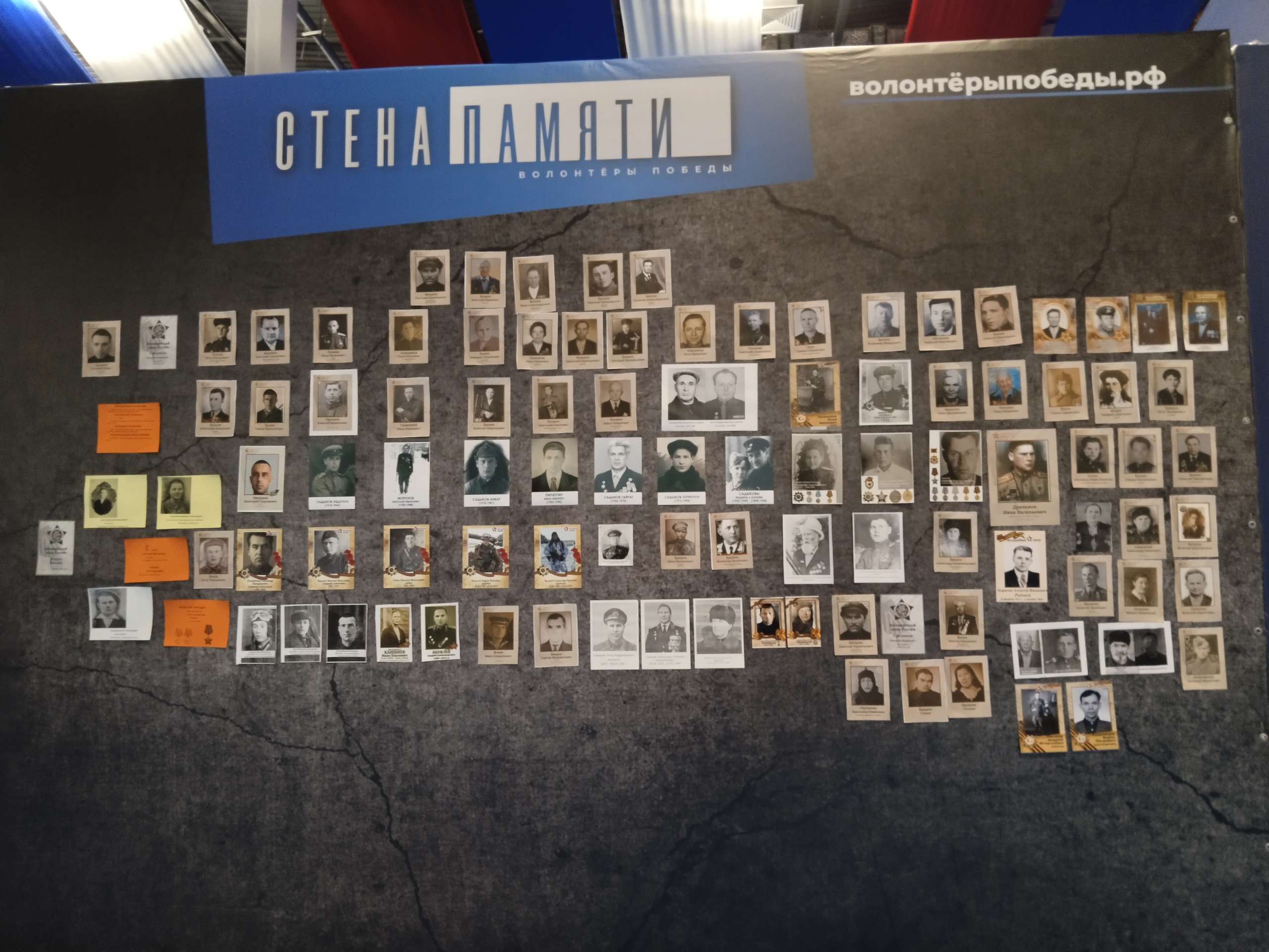 Жители Твери размещают фотографии своих ветеранов на «Стене Памяти»