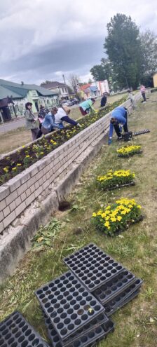 В Западной Двине начались работы по озеленению общественных зон В Западной Двине начались работы по озеленению общественных зон