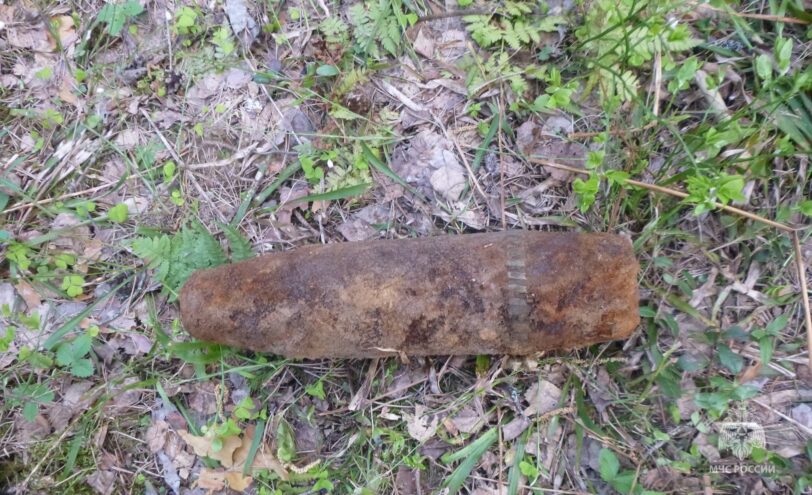 Под Тверью обезвредили два взрывоопасных предмета времен ВОВ