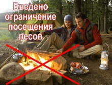 В Тверской области вводится запрет на посещение лесов В Тверской области вводится запрет на посещение лесов