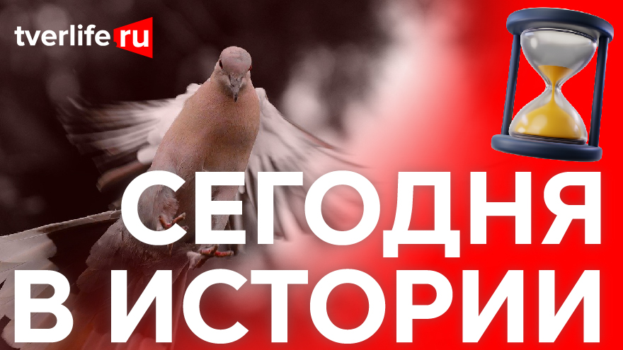 Сегодня в истории: Клуб любителей голубей, победа калининских футболистов и обильный снегопад Сегодня в истории: Клуб любителей голубей, победа калининских футболистов и обильный снегопад