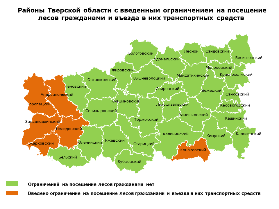 В 32 муниципалитетах Тверской области сняты ограничения пребывания граждан в лесах В 32 муниципалитетах Тверской области сняты ограничения пребывания граждан в лесах