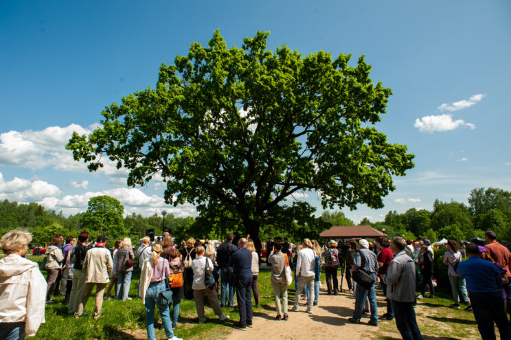 Три причины провести День семьи любви и верности в Домотканово
