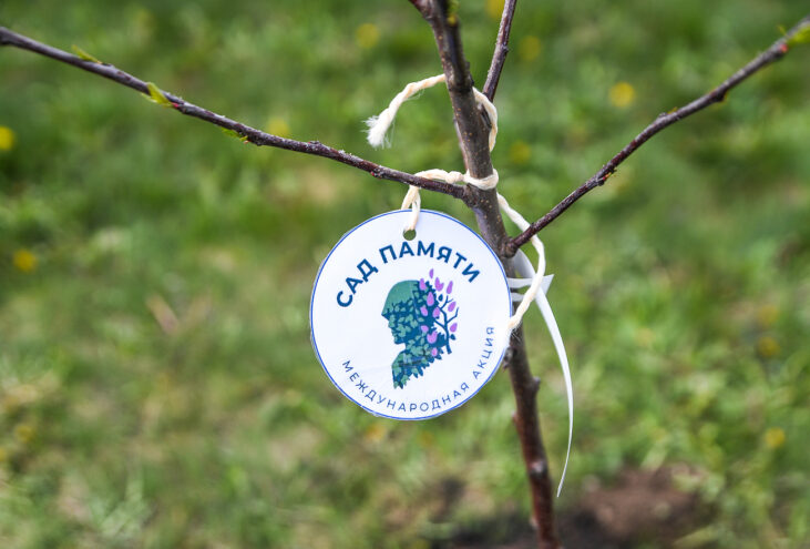 Больше 2,5 миллиона саженцев высадили в Тверской области благодаря акции «Сад памяти» Больше 2,5 миллиона саженцев высадили в Тверской области благодаря акции «Сад памяти»