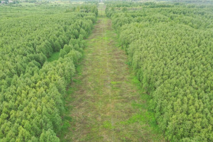 Специалисты Тверьэнерго расчистят порядка 2500 га просек в 2023 году