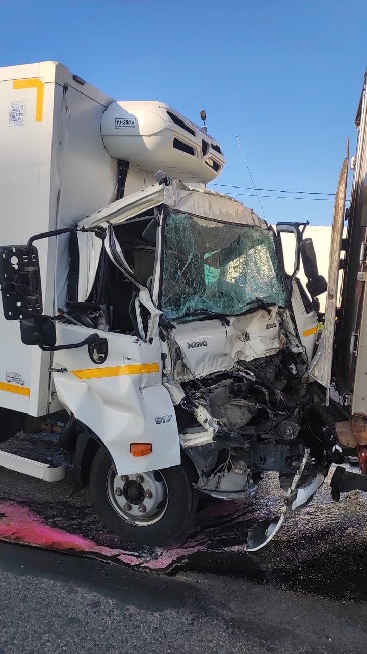 На М-10 в Тверской области погиб водитель фуры