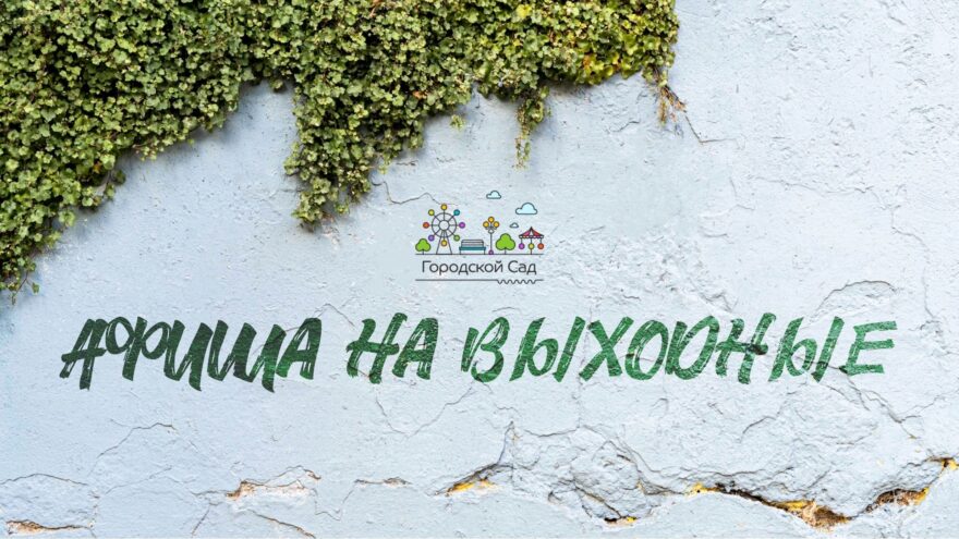 Тверской Городской сад приглашает на праздничные мероприятия в честь Дня России