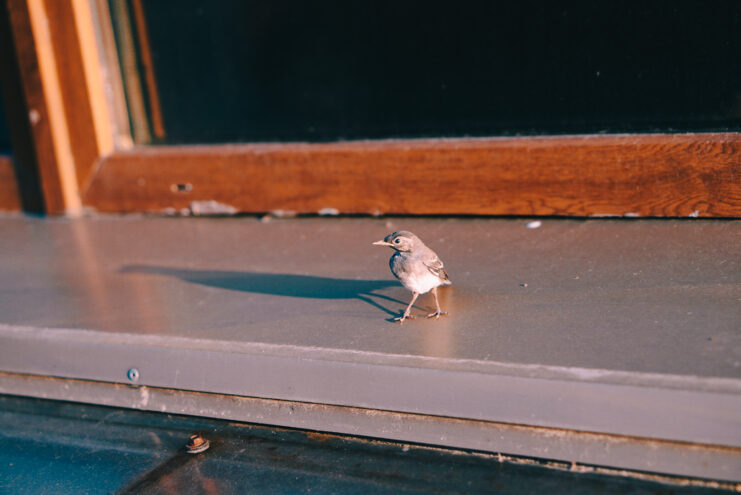 Солнечные выходные обещают синоптики в Тверской области